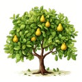 Colorful Pear Tree Clipart for Toddler Book on White Background AI Generated