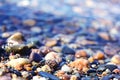 Colorful pebbles background