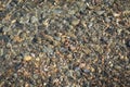 Colorful pebbles on beach in water