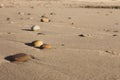 Colorful pebbles on sand. Round stones on the beach. Peaceful concept. Nature details. Royalty Free Stock Photo