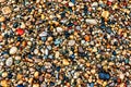 Colorful Pebbles on Shore Royalty Free Stock Photo