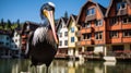 Colorful Pelican In Front Of Wooden Homes: A Vibrant Imagon 300mm F58 Shot