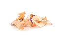 Colorful pencil shavings Royalty Free Stock Photo