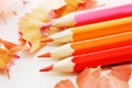 Colorful pencil and wood shavings Royalty Free Stock Photo