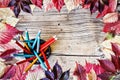 Colorful pencils, apple and dry autumn leaves on wooden table Royalty Free Stock Photo