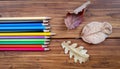 Colorful pencils and autumn leaves, back to school background