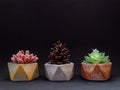 Colorful pentagon geometric planters. Painted concrete planters for home decoration