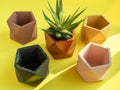 Colorful pentagon geometric planters. Painted concrete planters for home decoration