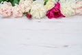 Colorful peonies border on white wooden background. Copy space,