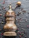 Colorful peppercorns and old pepper mill. Royalty Free Stock Photo