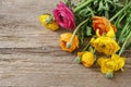 Colorful persian buttercup flowers ranunculus on wooden background Royalty Free Stock Photo