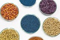 Colorful pesticide-treated rapeseed, sunflower, wheat, pea, soy, and corn seeds in a petri dish in the lab Royalty Free Stock Photo