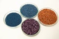 Colorful pesticide-treated rapeseed, sunflower, wheat, pea, soy, and corn seeds in a petri dish in the lab Royalty Free Stock Photo