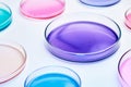 Colorful Petri dish with media in a microbiology laboratory. Chemical research with different liquids.