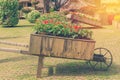 Colorful of petunia flowers on trolley or cart wooden in garden Royalty Free Stock Photo