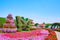 The colorful petunias and butterfly installation, Miracle Garden, Dubai, UAE