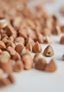 Buckwheat groats - detailed shot