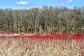 Colorful photo of Cherokee Marsh conservation area Royalty Free Stock Photo