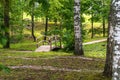 Colorful Photo of the Park on a Sunny Autumn day - Wooden Bridge in the Middle of it Royalty Free Stock Photo