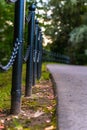 Colorful Photo of the Road in a Park, Between Woods - Closeup view of the Chain Fence with Blurred Background with Space for Text