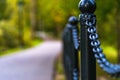 Colorful Photo of the Road in a Park, Between Woods - Closeup view of the Chain Fence with Blurred Background with Space for Text