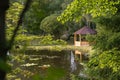 Colorful Photo of the Wooden Summer Garden House in a Park, Between Woods with Blurred Grass Stalks in Foreground - Sunny Autumn Royalty Free Stock Photo