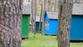 Colorful picnic houses in pine list among the trees Royalty Free Stock Photo