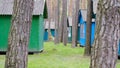 Colorful picnic houses in pine list among the trees Royalty Free Stock Photo