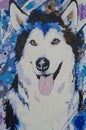 Colorful picture of dog breed husky painted with paint on canvas