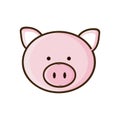 colorful picture face cute pig animal