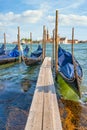 Colorful picture with gondolas moored on Grand Canal near Saint Mark square, in Venice Italy Royalty Free Stock Photo