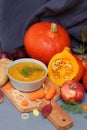 Seasonal vegetables, creamy pumpkin soup and autumn leaves on grey background.