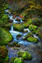 Colorful picturesque autumn landscape of river with small waterfalls and mossy stones