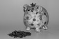 A colorful piggy bank in black and white isolated with a money heap of cent coins on a wooden underground and white background