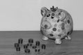 A colorful piggy bank in black and white isolated with a steppled cent coins on a wooden underground and white background Royalty Free Stock Photo
