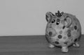 A colorful piggy bank in black and white isolated on a wooden underground and white background Royalty Free Stock Photo