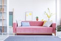 Colorful pillows on a big, velvet, pink sofa in a fun, spacious