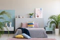 Colorful pillows on carpet next to bed in modern grey bedroom in