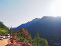 Colorful pine tree forest covering the Himalayan mountains. Sunrise worth time. Clear skys