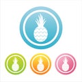 Colorful pineapple signs