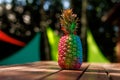 Colorful pineapple on wooden table outdoors Royalty Free Stock Photo