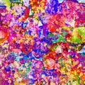 Colorful  pink ,blue,green  yellow  and orange  bright  splatter color paint Royalty Free Stock Photo