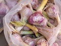 Colorful pink garlic tubers at a food market