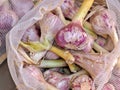 Colorful pink garlic tubers at a food market