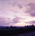 Colorful pink and magenta sunset on the vineyards before harvesting near Geneva in Switzerland shot with analogue film technique