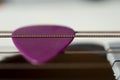 Colorful pink plectrum in guitar strings