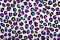 Colorful pink, purple, blue, neon green leopard pattern.