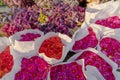 Colorful pink and red chrysanthemum flower bouquets wrapped in white paper and other winter flowers. Royalty Free Stock Photo