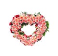 Colorful pink red rose flower blooming in heart shape patterns isolated on white background , clipping path for Wedding  , mothers Royalty Free Stock Photo