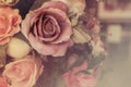 Colorful pink roses in soft color and blur style for background, beautiful artificial flowers Royalty Free Stock Photo